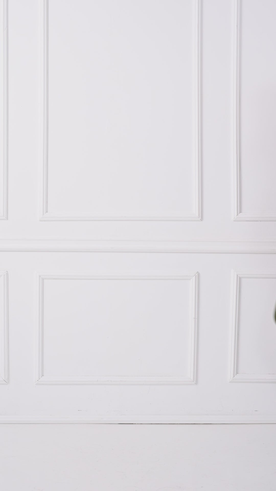 Veste pour homme en fourrure de raton laveur avec capuche en renard