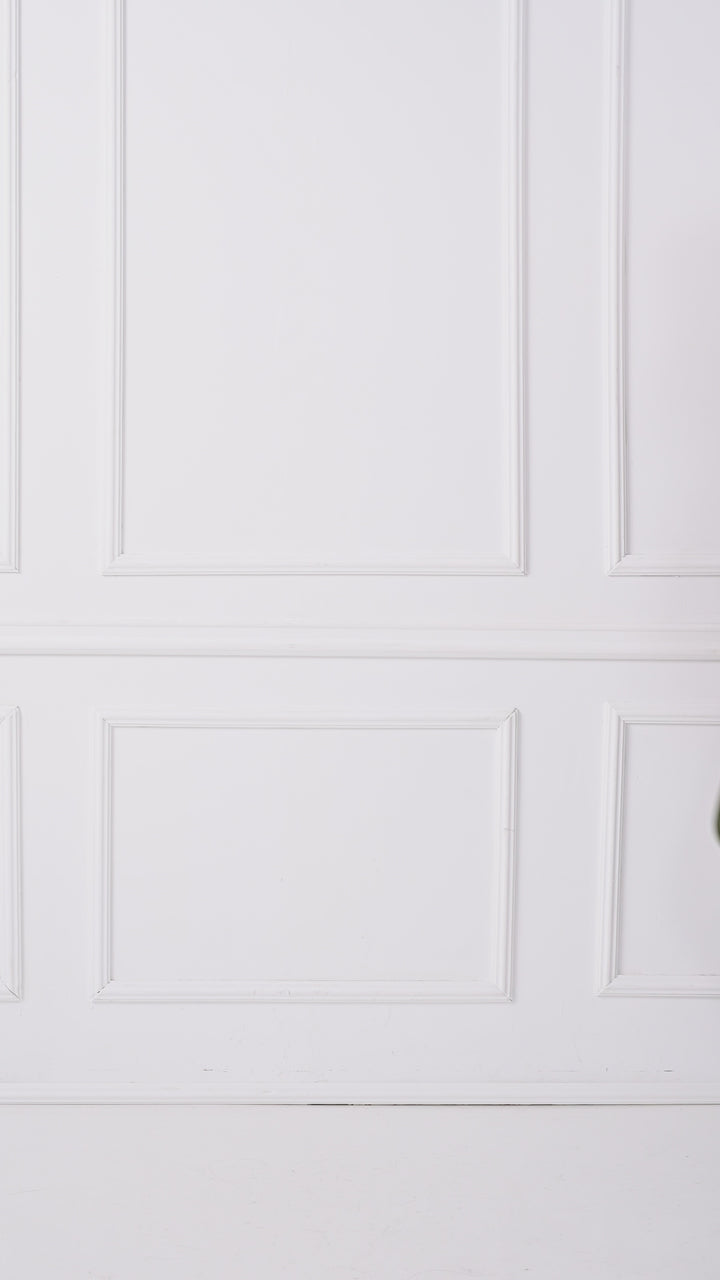 Veste pour homme en fourrure de raton laveur avec capuche en renard