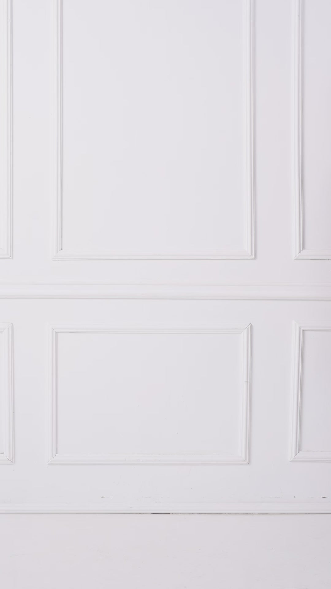 Мужская куртка Raccoon